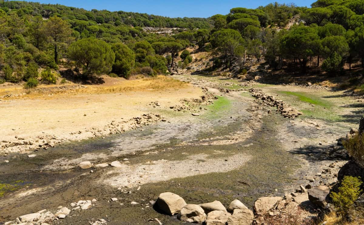 Cómo el Agua Afecta Nuestro Medio Ambiente