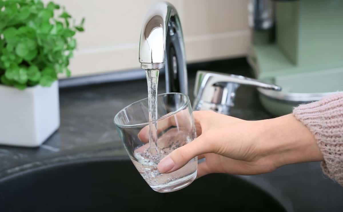 La Importancia de una Correcta Purificación en el Hogar