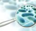 Enfermedades Producidas por Bacterias del Agua No Purificada