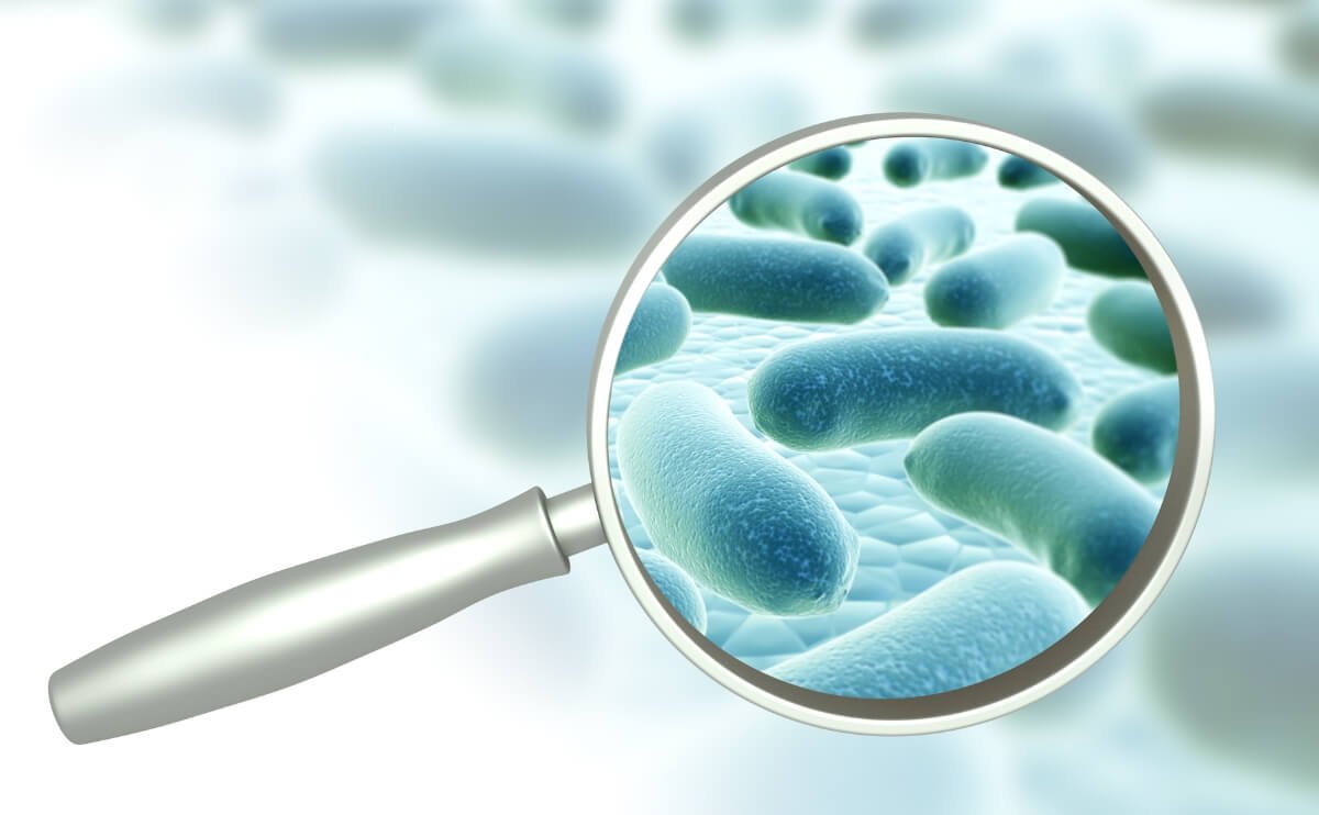 Enfermedades Producidas por Bacterias del Agua No Purificada