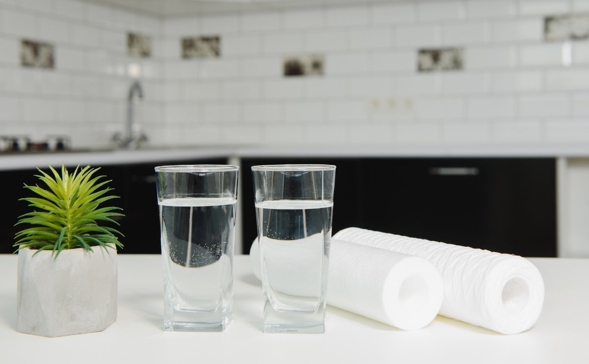 Cómo el Agua Purificada Te Ayuda en la Economía