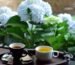 Cómo la Calidad del Agua Influye en el Sabor del Café, Té e Infusiones