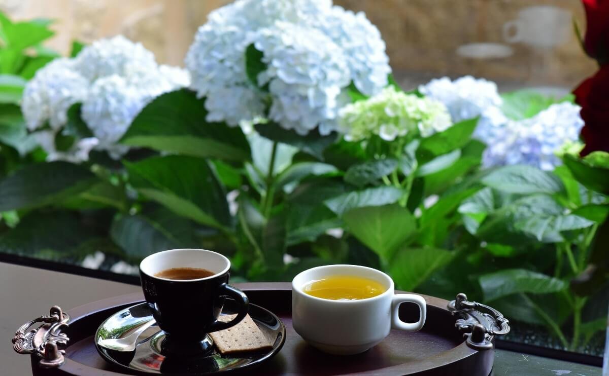 Cómo la Calidad del Agua Influye en el Sabor del Café, Té e Infusiones