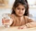 Botellas de Plástico vs. Agua Purificada en Casa: ¿Qué Opción Conviene Más?