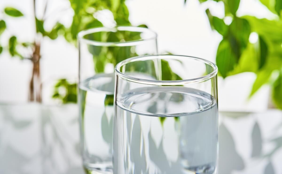 ¿Qué Contiene Realmente el Agua que Bebes? Lo que No Te Cuentan en el Informe Municipal